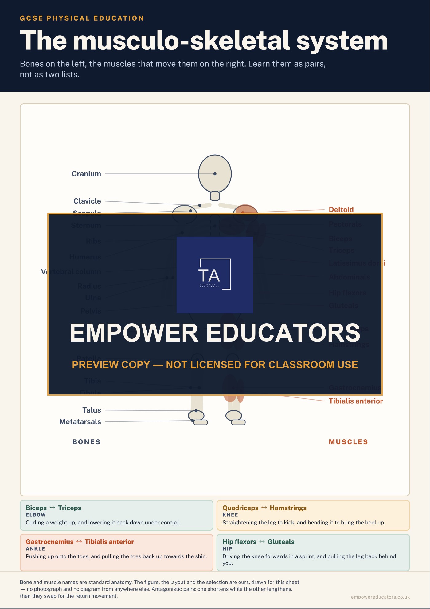 Cover of GCSE PE — Revision Posters