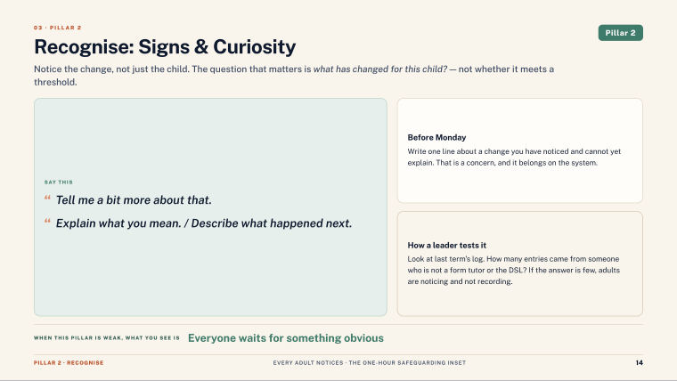 Page 14 of Every Adult Notices — Slide deck