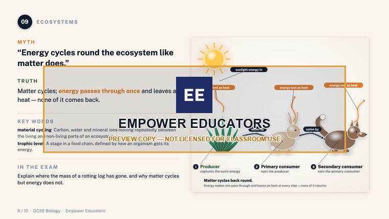 Ecosystems: matter cycles, energy passes through · GCSE Biology: 10 Misconceptions, page 11