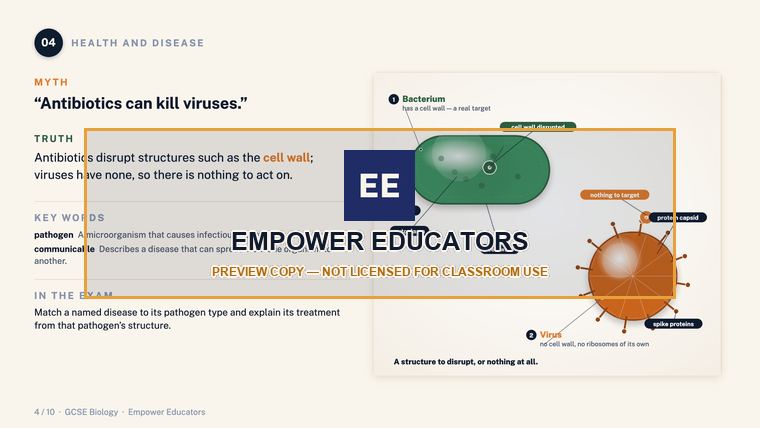 Health and Disease: why antibiotics do nothing to a virus · GCSE Biology: 10 Misconceptions, page 6