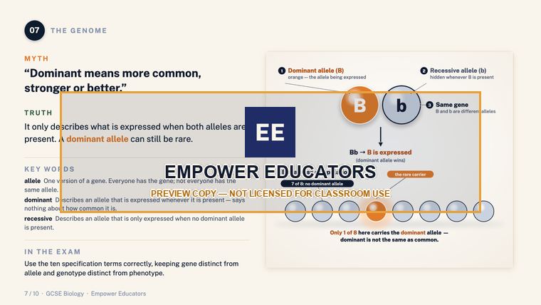 The Genome: what a dominant allele actually means · GCSE Biology: 10 Misconceptions, page 9