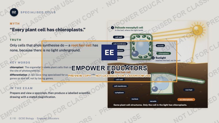 Specialised cells: not every plant cell has chloroplasts · GCSE Cell Biology: 10 Misconceptions, slide 4