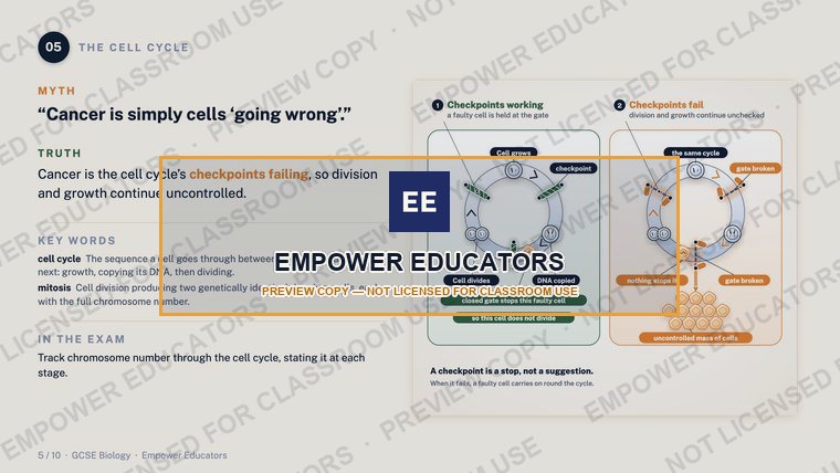 The cell cycle: cancer is checkpoints failing · GCSE Cell Biology: 10 Misconceptions, slide 7