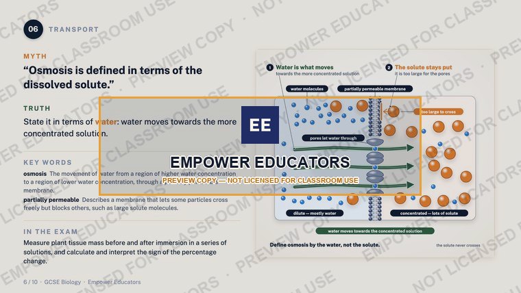 Transport: osmosis is defined by the water · GCSE Cell Biology: 10 Misconceptions, slide 8