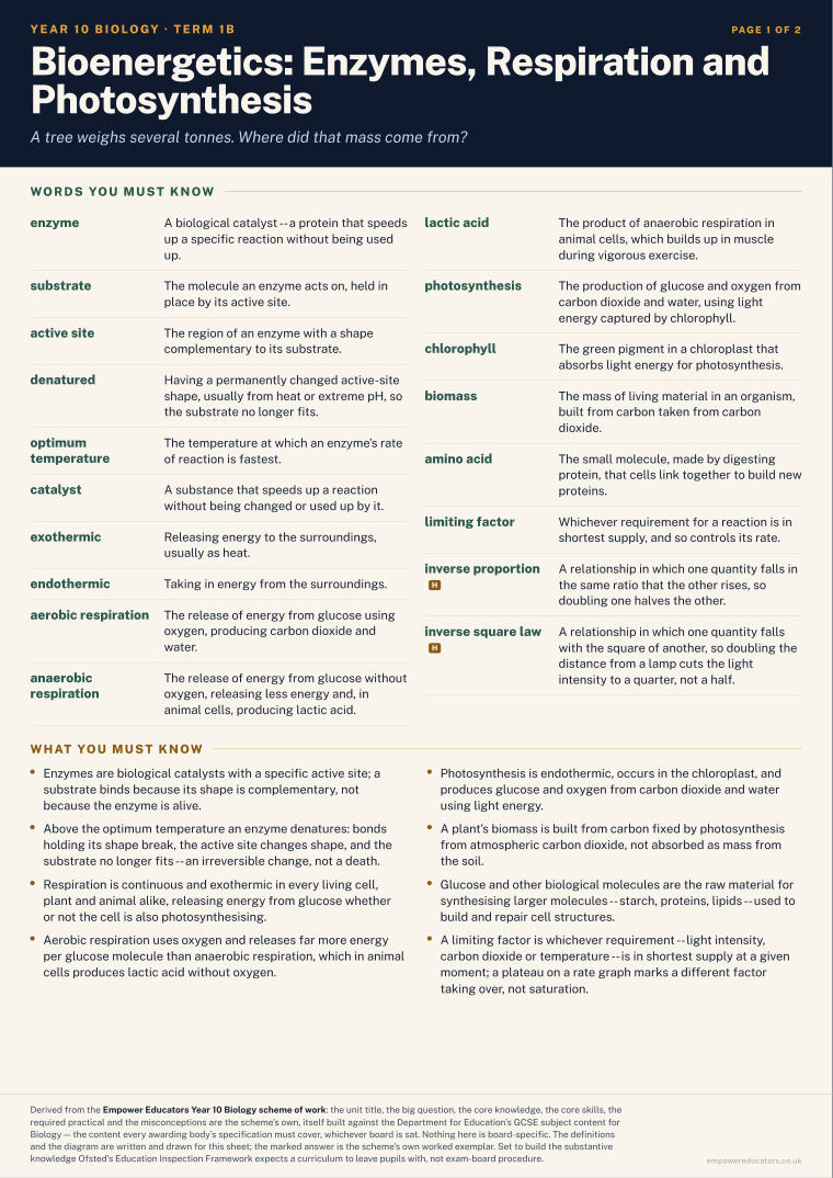 Bioenergetics: Enzymes, Respiration and Photosynthesis · Year 10 Biology Knowledge Organisers, page 3
