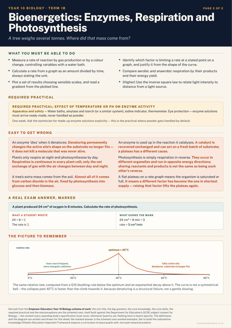 Bioenergetics: Enzymes, Respiration and Photosynthesis · Year 10 Biology Knowledge Organisers, page 4