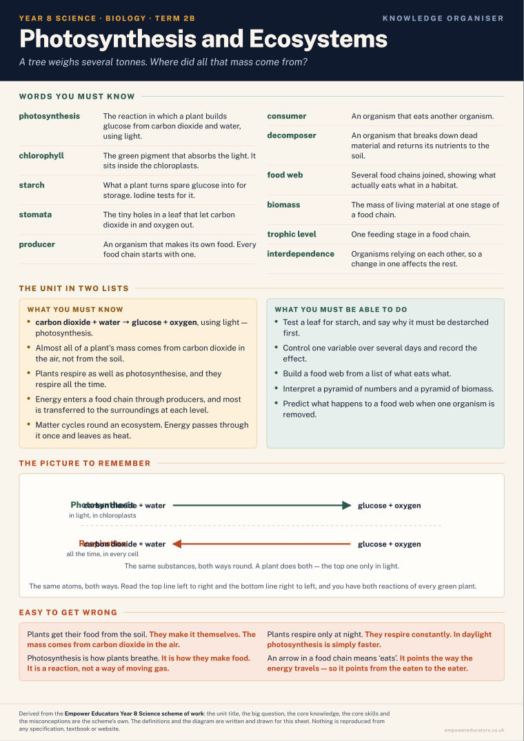 Photosynthesis and Ecosystems · Year 8 Science Knowledge Organisers, page 4