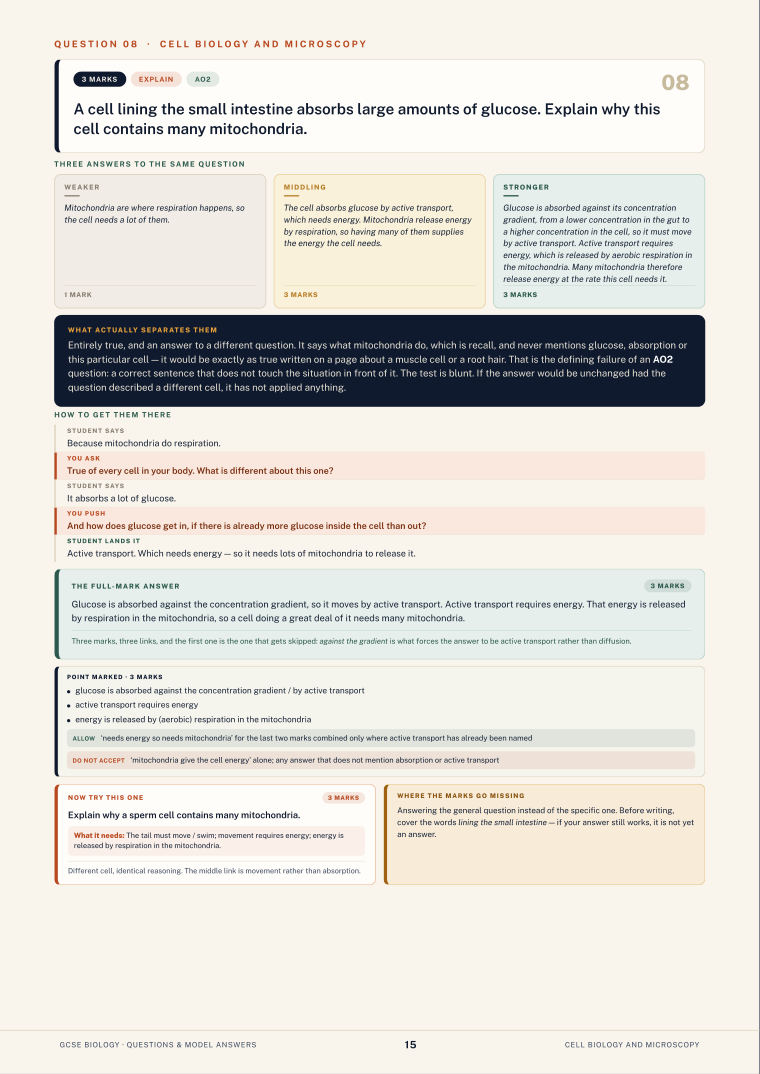 Question 08 · Cell biology and microscopy · GCSE Biology Questions & Model Answers, page 15