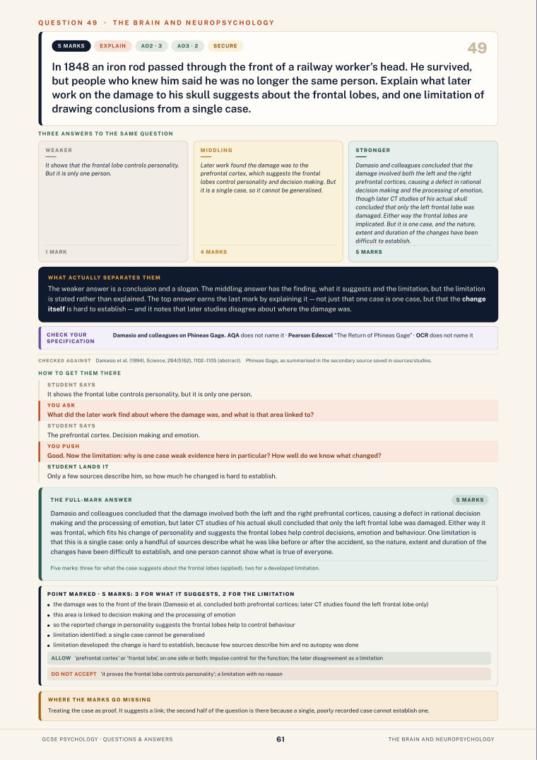 Question 49 · The brain and neuropsychology · GCSE Psychology Questions & Answers, page 61