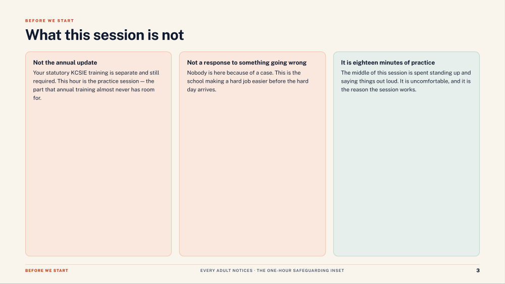 Page 3 of Every Adult Notices — Slide deck