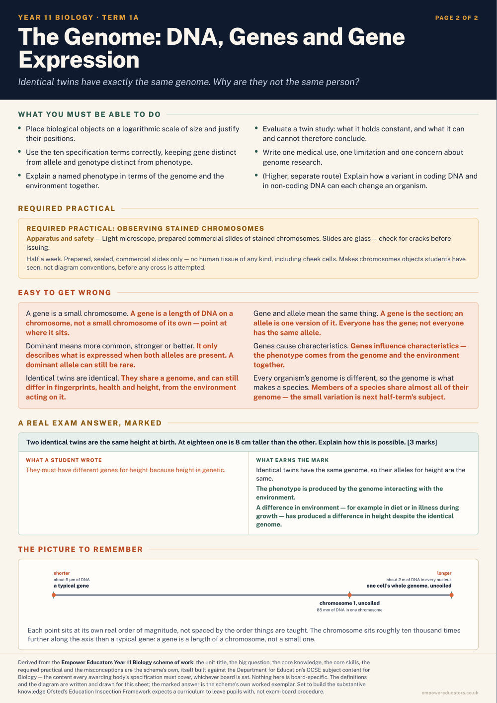 The Genome: DNA, Genes and Gene Expression · Year 11 Biology Knowledge Organisers, page 2
