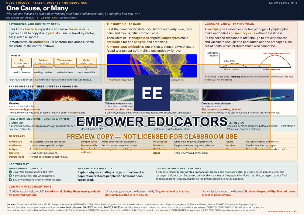 Health, disease and medicines knowledge mat — watermarked preview