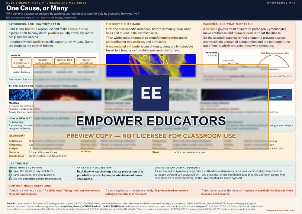 Health, disease and medicines knowledge mat — watermarked preview