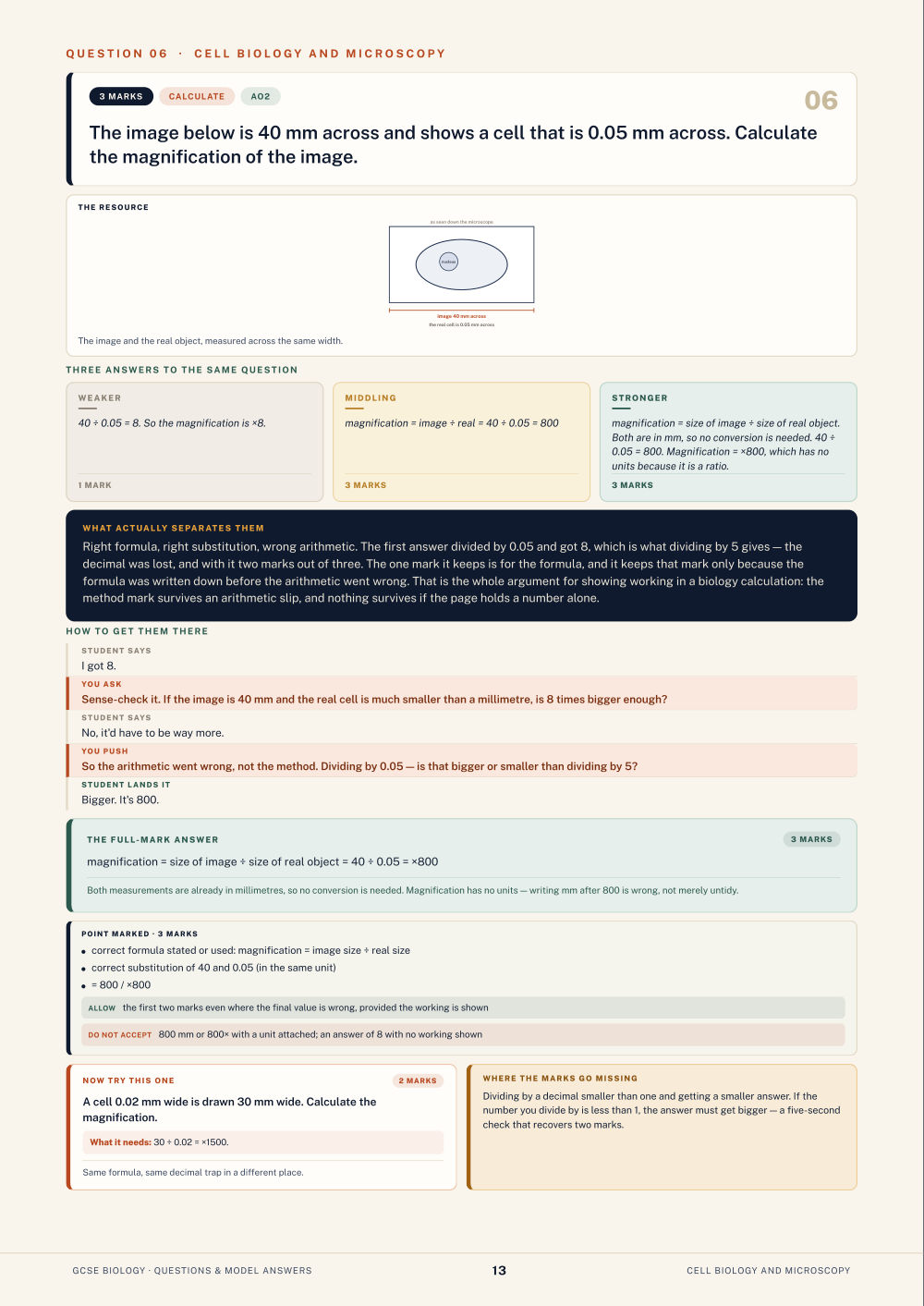 Question 06 · Cell biology and microscopy · GCSE Biology Questions & Model Answers, page 13