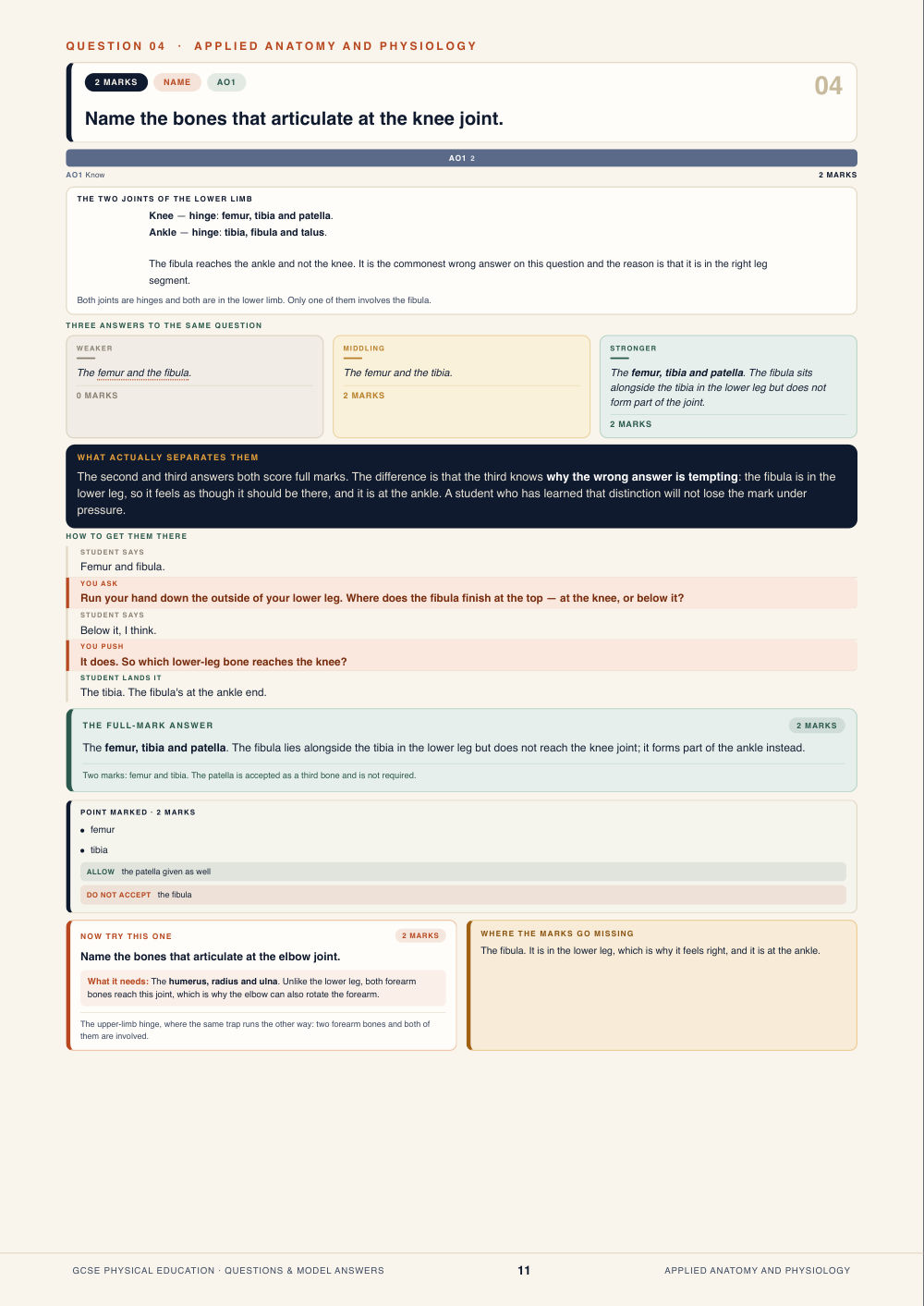 Question 04 · Applied anatomy and physiology · GCSE Physical Education Questions & Model Answers, page 11
