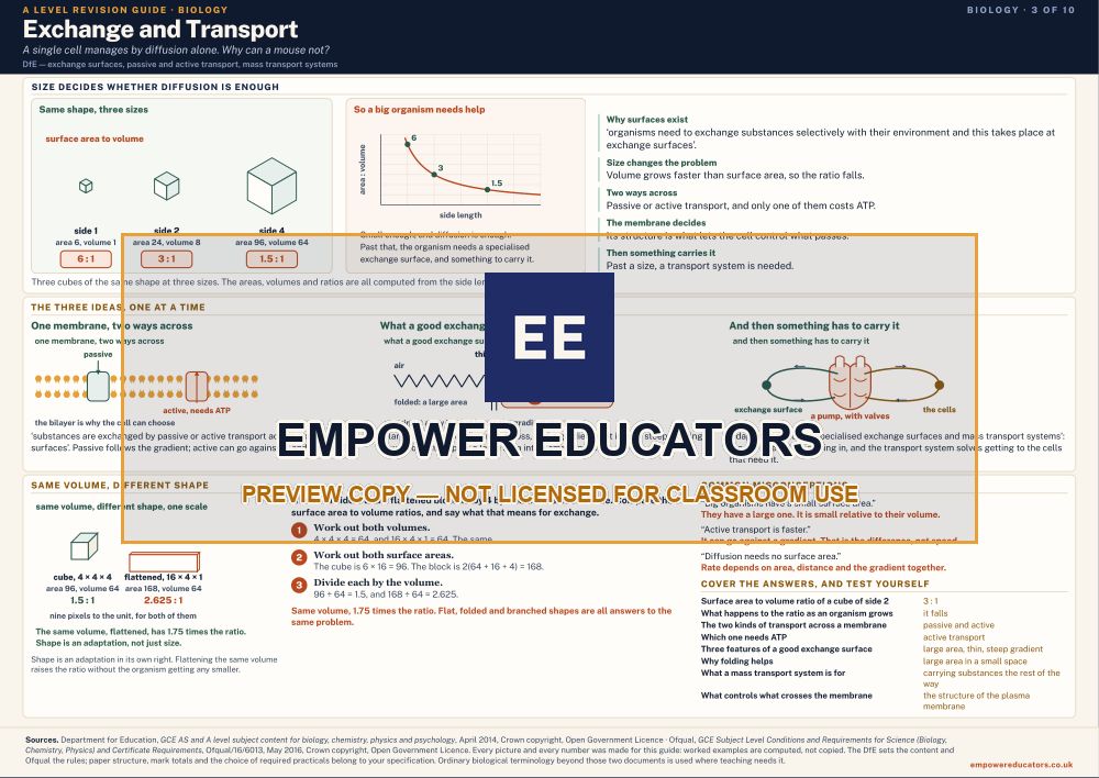 Exchange and Transport · A Level Biology Revision Guide, page 3